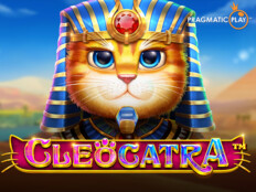 Tibet aslanı fiyatı. Free online casino games no download or registration.49